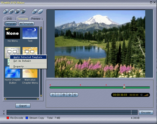 Womble MPEG Video Wizard DVD v03.2008