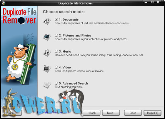 Duplicate File Remover