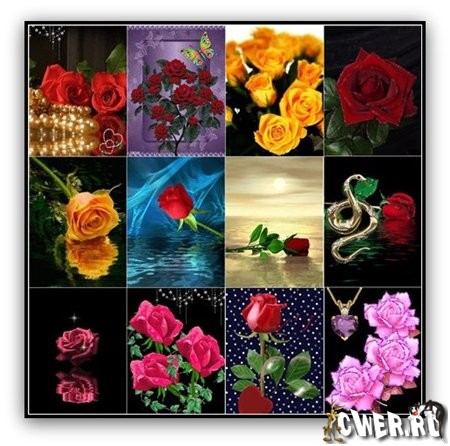 Анимация розы