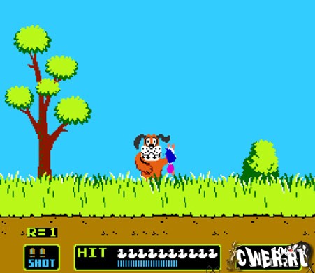 Duck Hunt