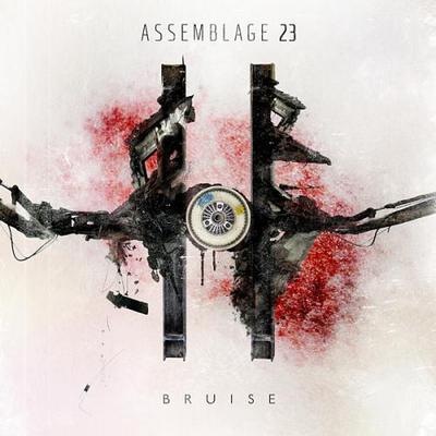 Assemblage 23. Bruise