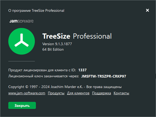 TreeSize Professional