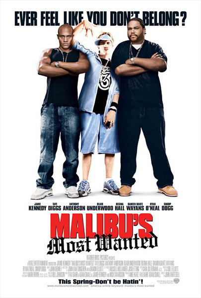 Разыскиваются в Малибу (2003) DVDRip