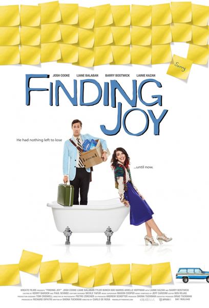 В поисках радости / Finding Joy (2013/WEB-DLRip)