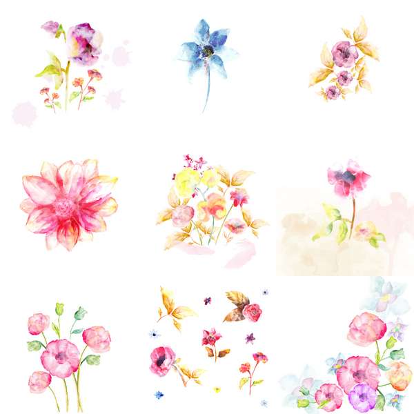 Watercolor flowers (Cwer.ws)