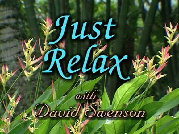 David Swenson. Ashtanga Yoga. Just Relax (2004) DVDRip