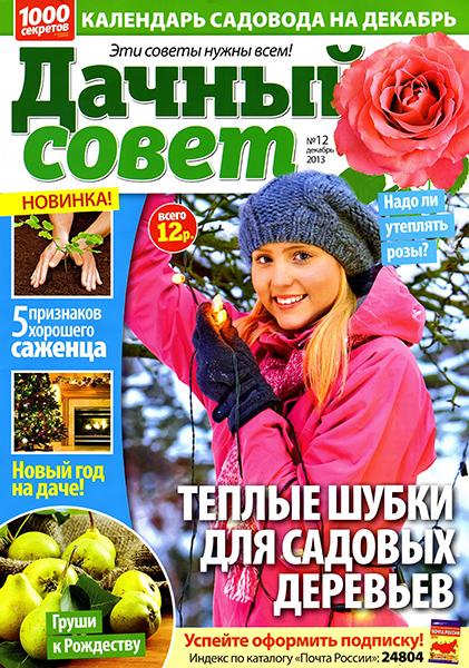 Дачный совет №12 2013