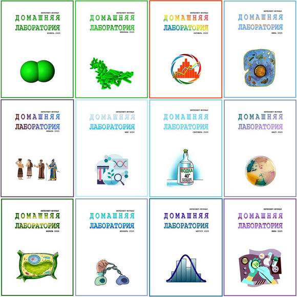 Домашняя лаборатория №1-12 январь-декабрь 2025 Архив 2025 Подшивка 2025