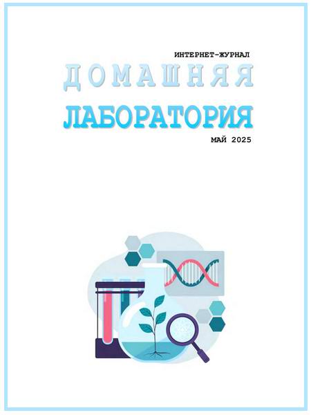 Домашняя лаборатория №5 май 2025