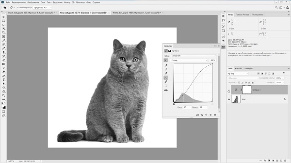 Основы цветокоррекции в Adobe Photoshop1