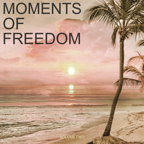 Moments Of Freedom Vol.2: Selection Of Finest Chill Out and Ambient Music
