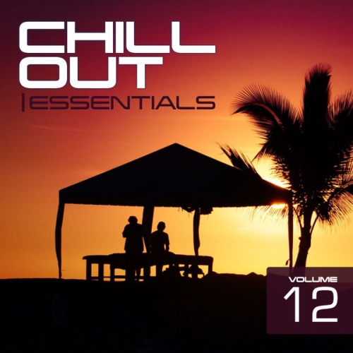 Chill Out Essentials Vol 12