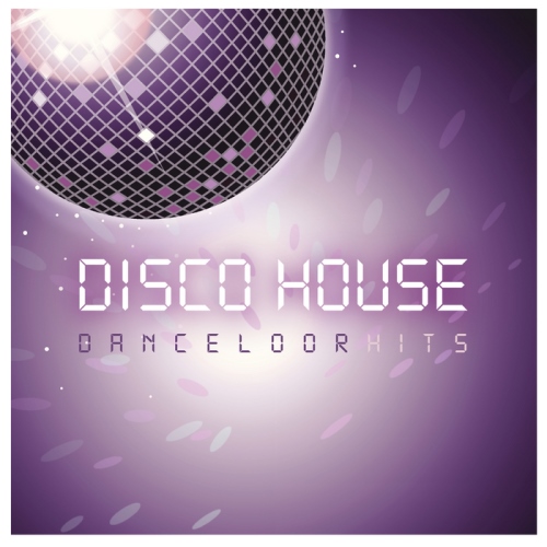 Disco House Danceloor Hits