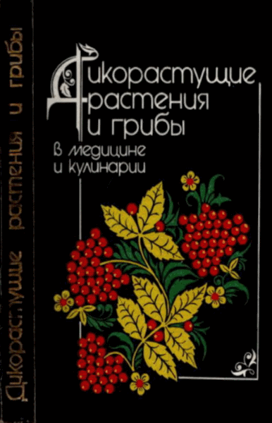 Э.А. Нечаев. Дикорастущие растения и грибы в медицине и кулинарии