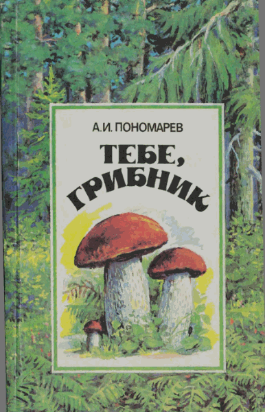 А.И. Пономарев. Тебе, грибник