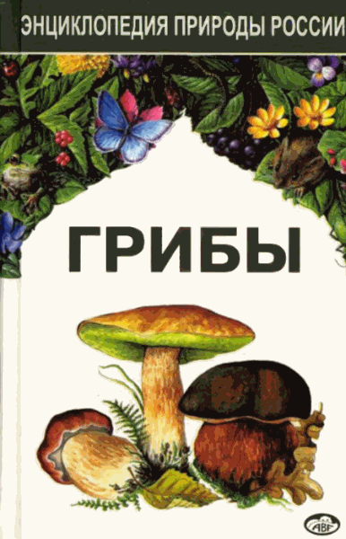 Л.B Гарибова, И.И. Сидорова. Грибы. Энциклопедия природы России