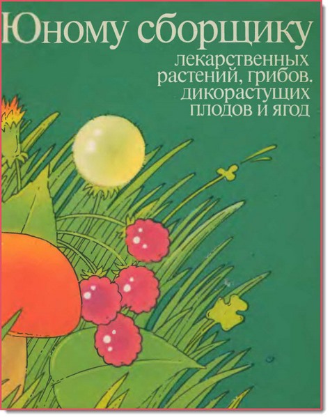 Юному сборщику лекарственных растений, грибов, дикорастущих плодов и ягод