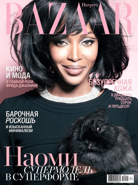 Harper's Bazaar №11 (ноябрь 2012) Россия