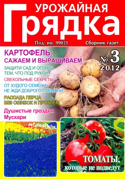 Урожайная грядка №3 (март 2012)