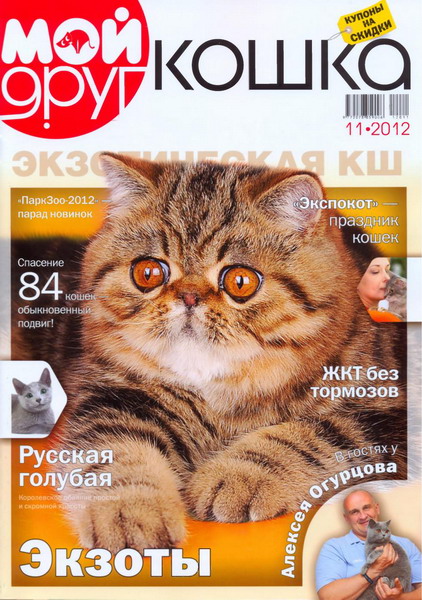 Мой друг кошка №11 (октябрь 2012)