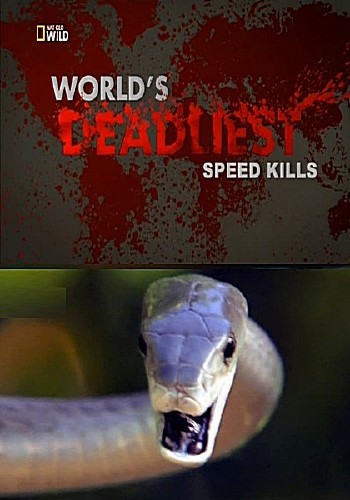 Самые опасные животные. Убийственная скорость (2013) SATRip