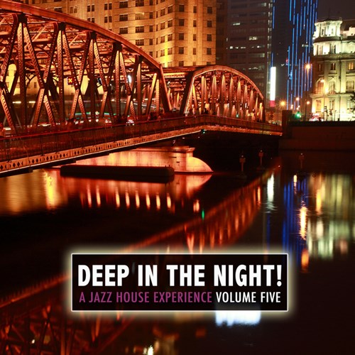 Deep In The Night Vol.5. A Jazz House Experience (2013)
