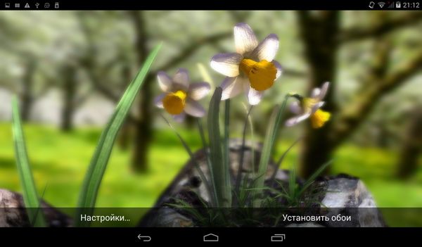 Nature Live: Spring Flowers XL