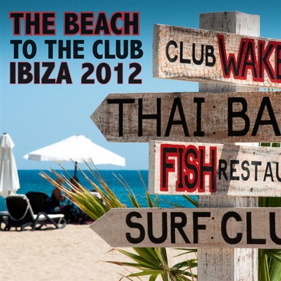 скачать From The Beach To The Club: Ibiza (2012)