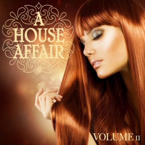 скачать A House Affair, Vol. 11 (2012)