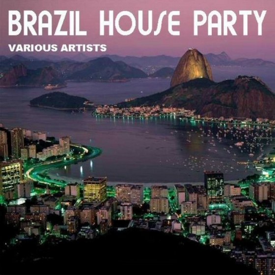 скачать Brazil House Party (2012)