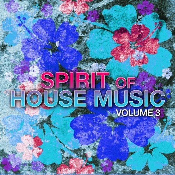скачать Spirit of House Music Vol 3 (2012)