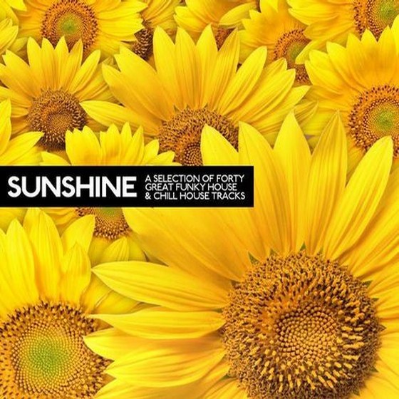 скачать Sunshine: A Selection Of 40 Great Funky House And Chill House Tracks (2012)