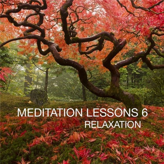 скачать Meditation Lesson Vol 6 Relaxation (2012)