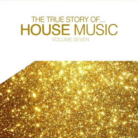 The True Story of House Music Vol 7 (2013)