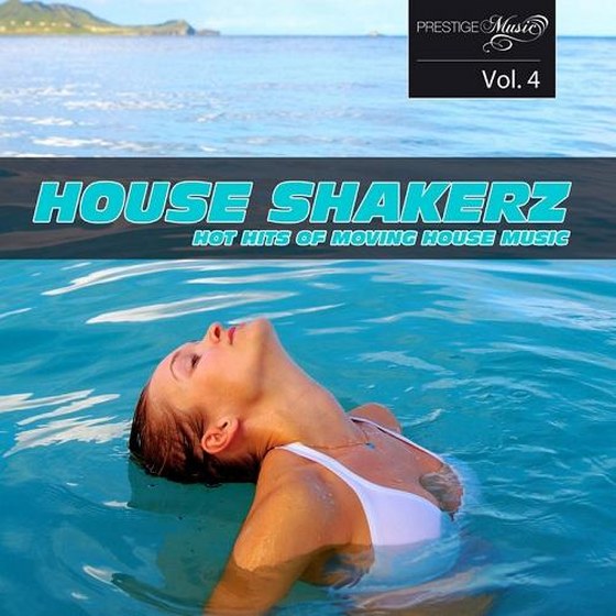 House Shakerz Vol 4 (2013)