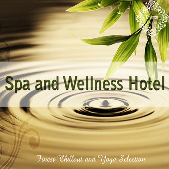 Spa and Wellness Hotel: Finest Chillout and Yoga Selection (2013)