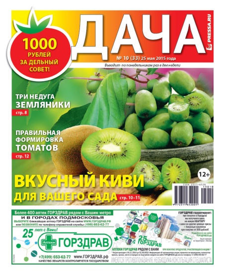 Дача 10 2015