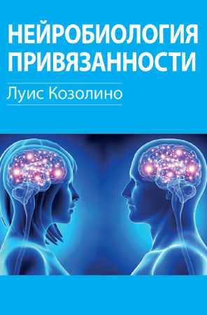 Нейробиология привязанности