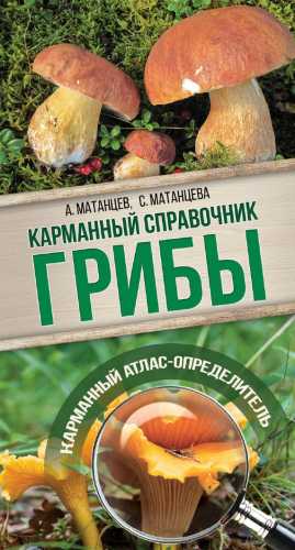 Грибы. Карманный атлас-определитель