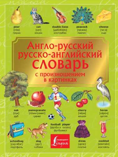 Англо-русский, русско-английский словарь с произношением в картинках