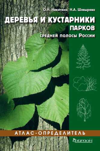 Деревья и кустарники парков средней полосы России