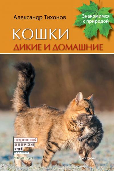 Кошки дикие и домашние