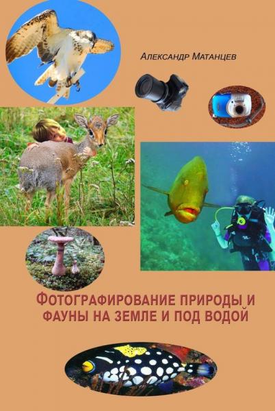 Александр Матанцев. Фотографирование природы и фауны на земле и под водой