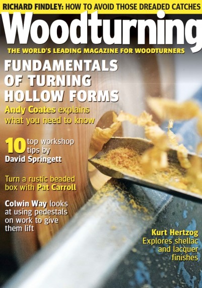 Woodturning №306 (June 2017)