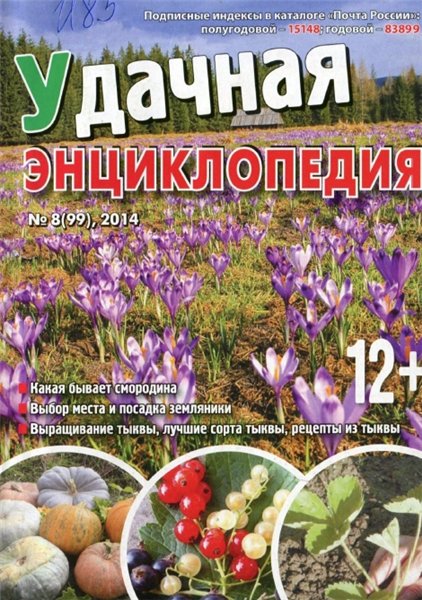 Удачная энциклопедия №8 (май 2014)