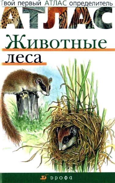 В.И. Сивоглазов. Животные леса