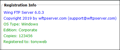 Wing FTP Server Corporate 6.0.3