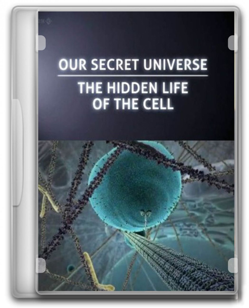 Тайная жизнь клетки