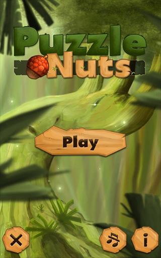 Puzzle Nuts HD (2013)