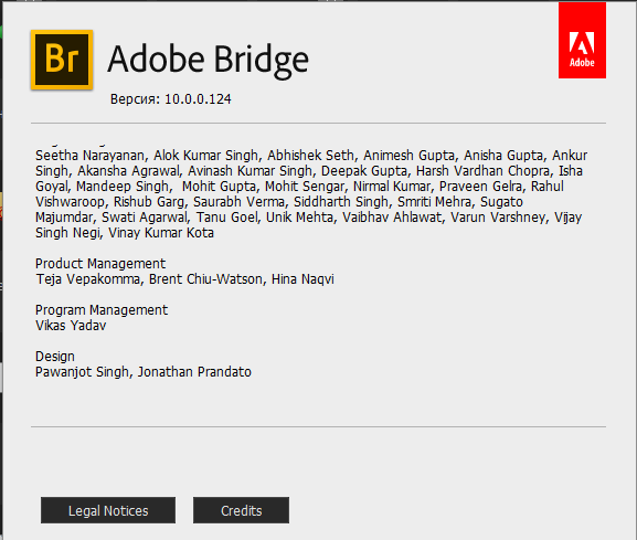 Adobe Bridge 2020 10.0.0.124